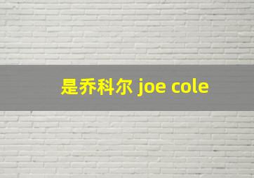 是乔科尔 joe cole